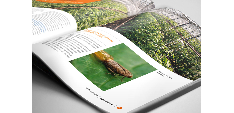 Diseño web y editorial de Agroquímica